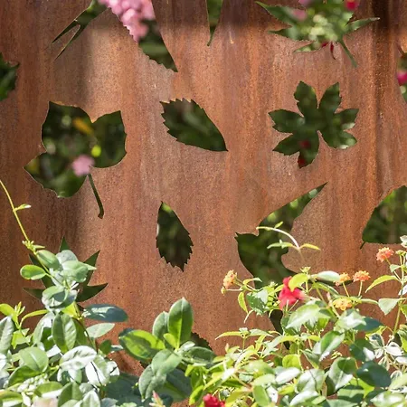 Costa Rica Eco بيبيوني