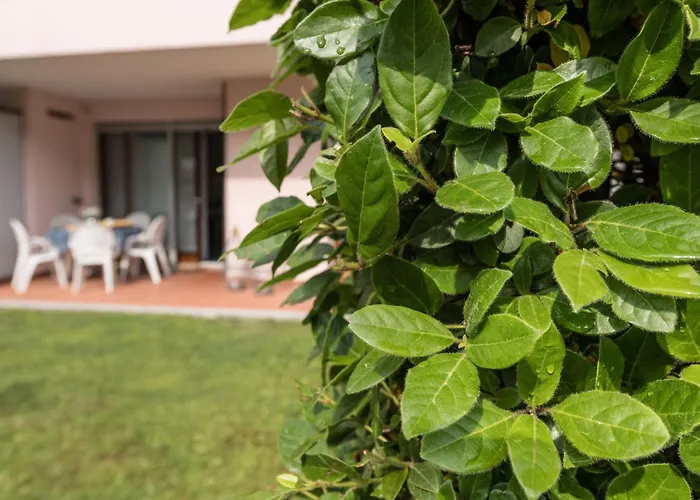 Costa Rica Eco بيبيوني