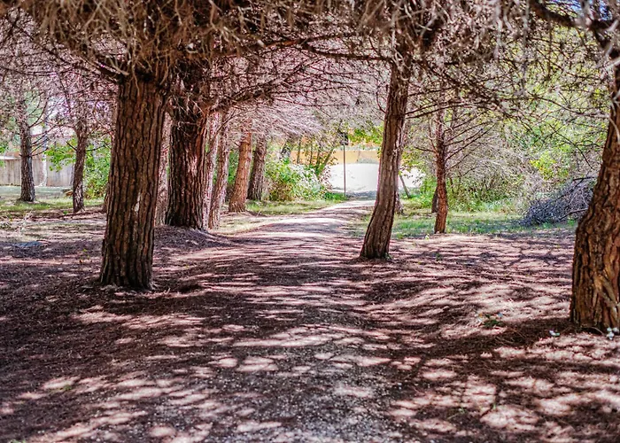 Costa Rica Eco بيبيوني