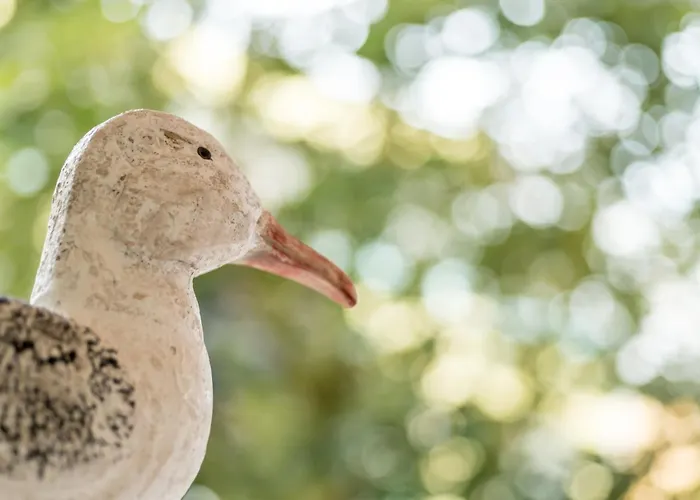 Costa Rica Eco شقة فندقية بيبيوني