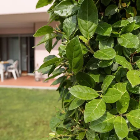 Costa Rica Eco Бибионе