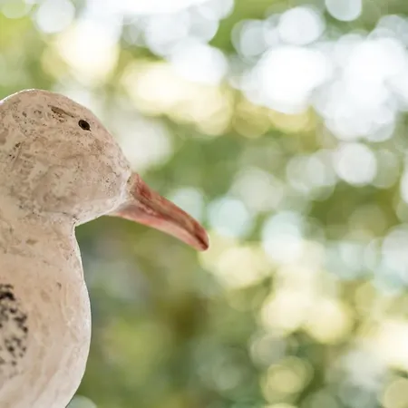 Costa Rica Eco Апарт-отель Бибионе